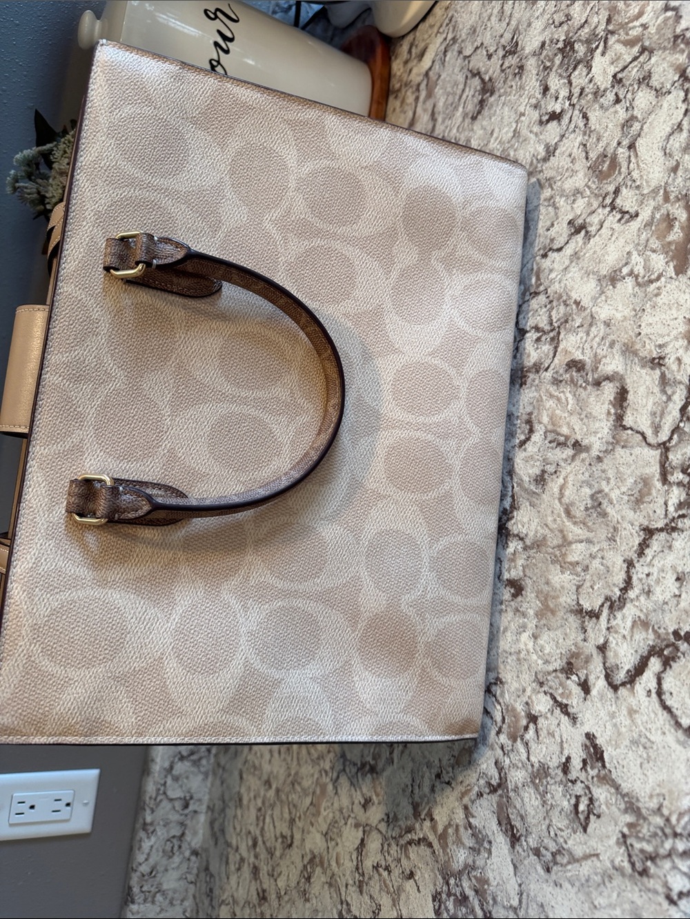 Coach Beige Signature Canvas Tote Bag - Coach - Picture 7 of 15